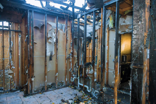 Professional Fire Damage Repair technician working in Lake Crystal, MN